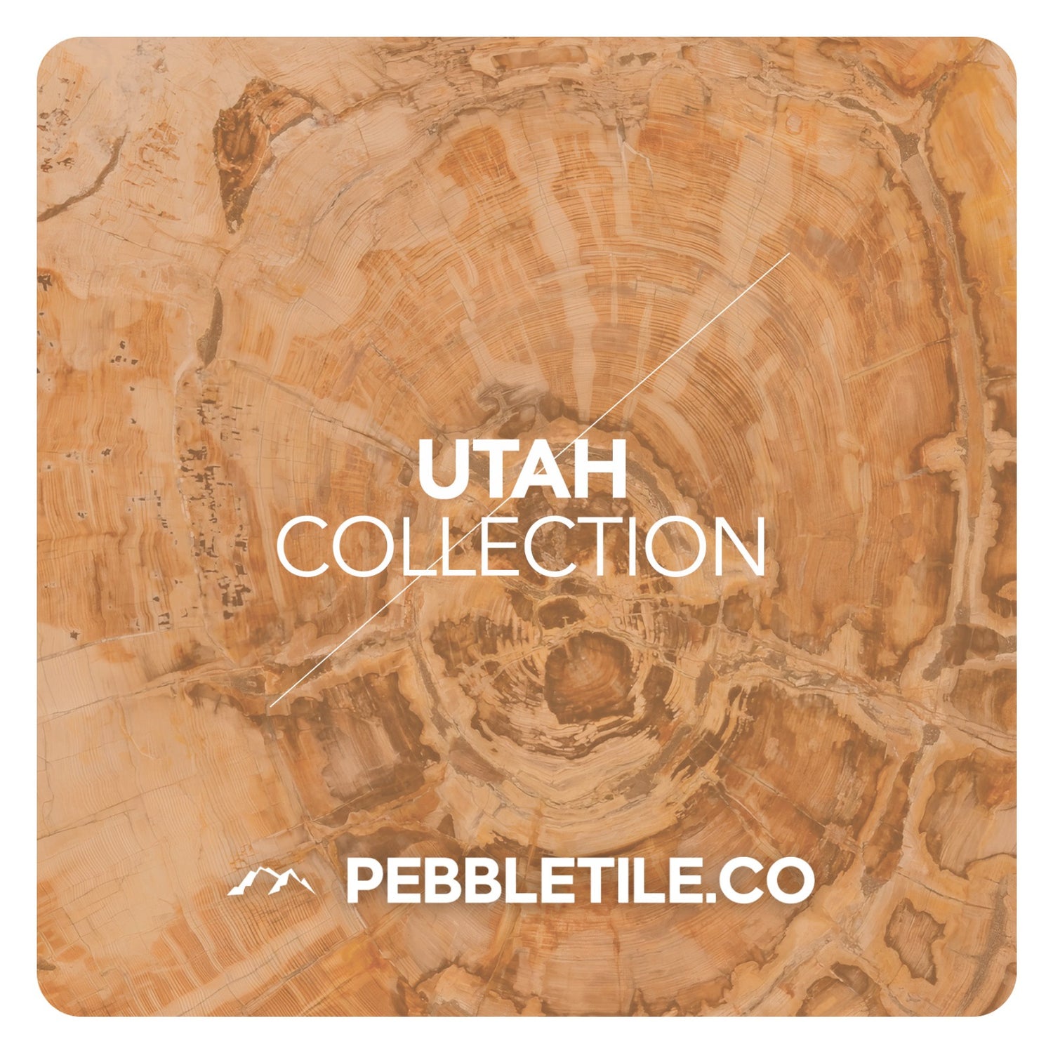 Utah Collection