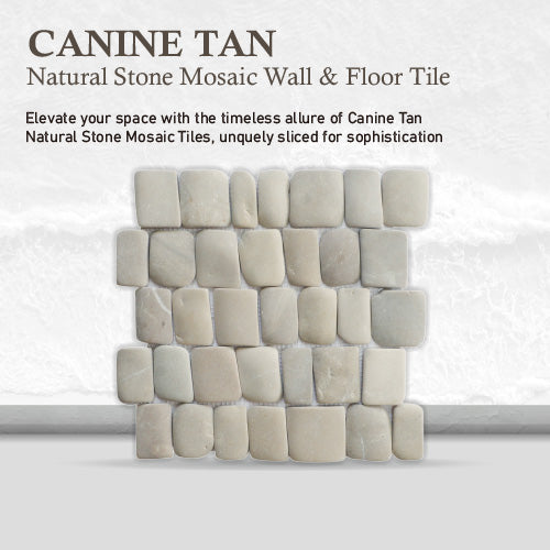 Canine Tan Pebble Mosaic Tile for Wall | 5 Tiles per case