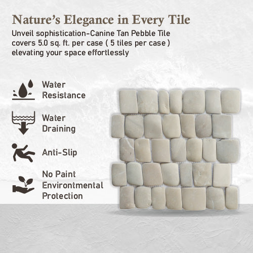 Canine Tan Pebble Mosaic Tile for Wall | 5 Tiles per case