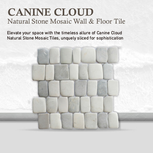 Canine Cloud Pebble Mosaic Tile for Wall | 5 Tiles per case
