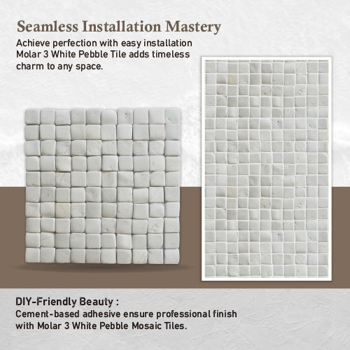 Molar 3 White Pebble Mosaic Tile for Wall | 5 Tiles per case
