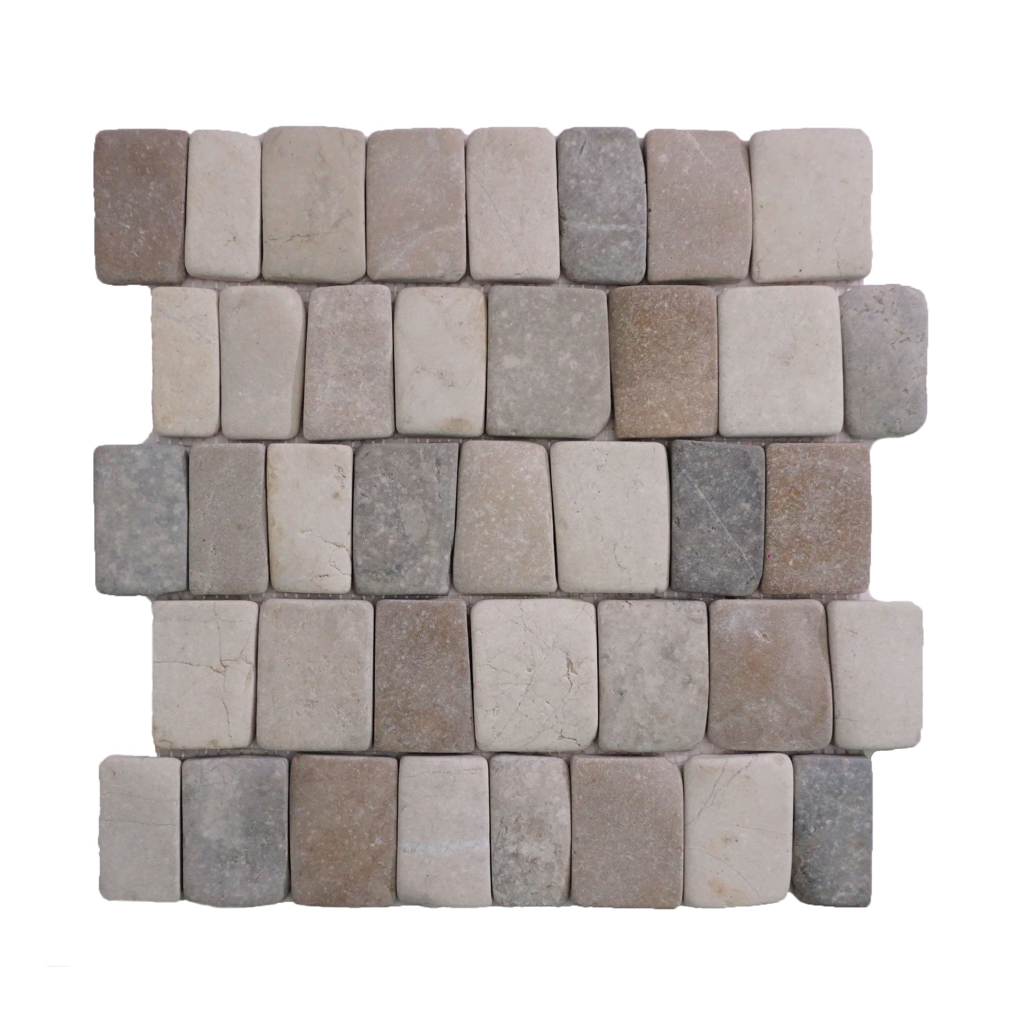 Canine Mix Blend Pebble Mosaic Tile for Wall | 5 Tiles per case