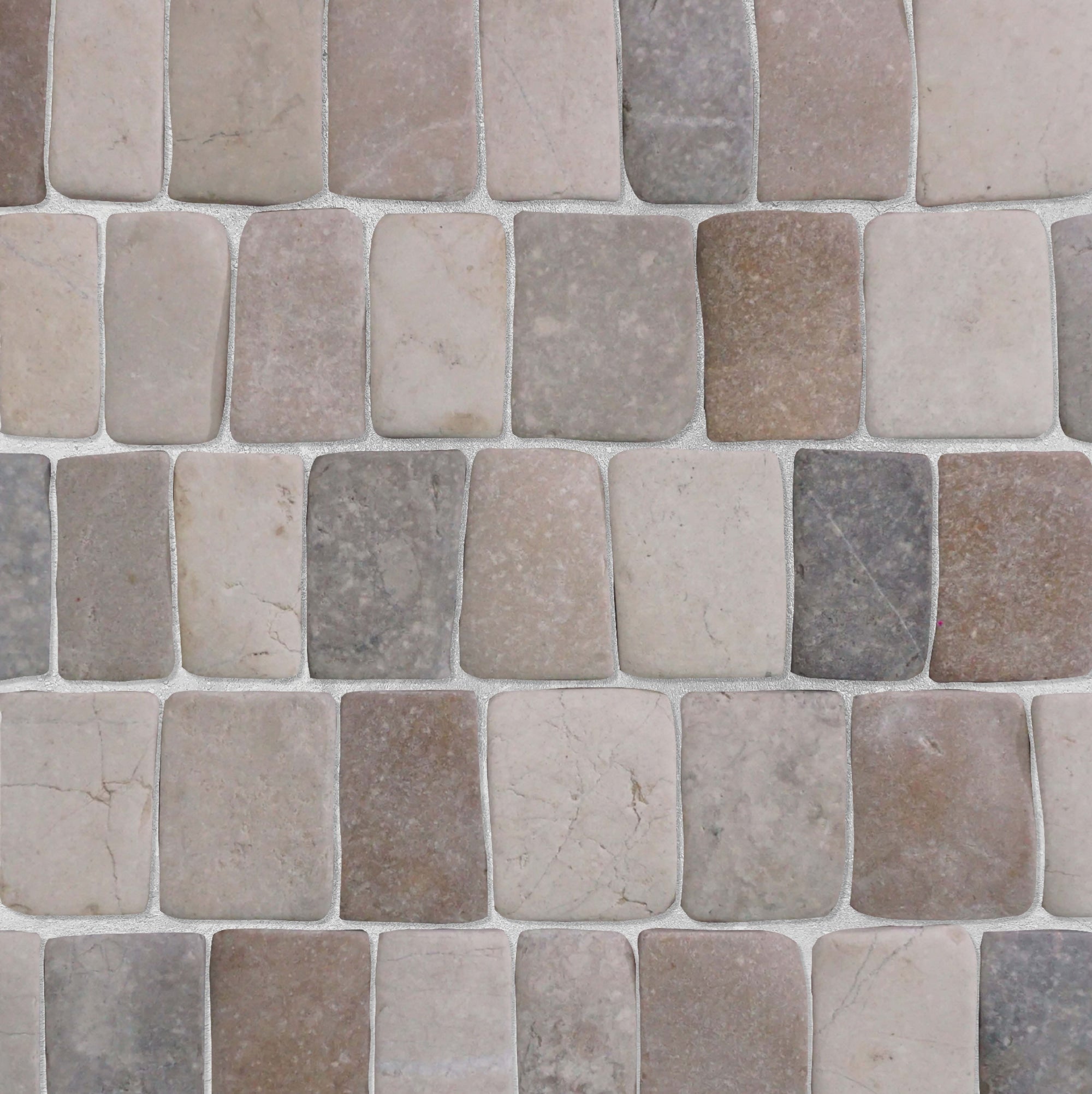 Canine Mix Blend Pebble Mosaic Tile for Wall | 5 Tiles per case
