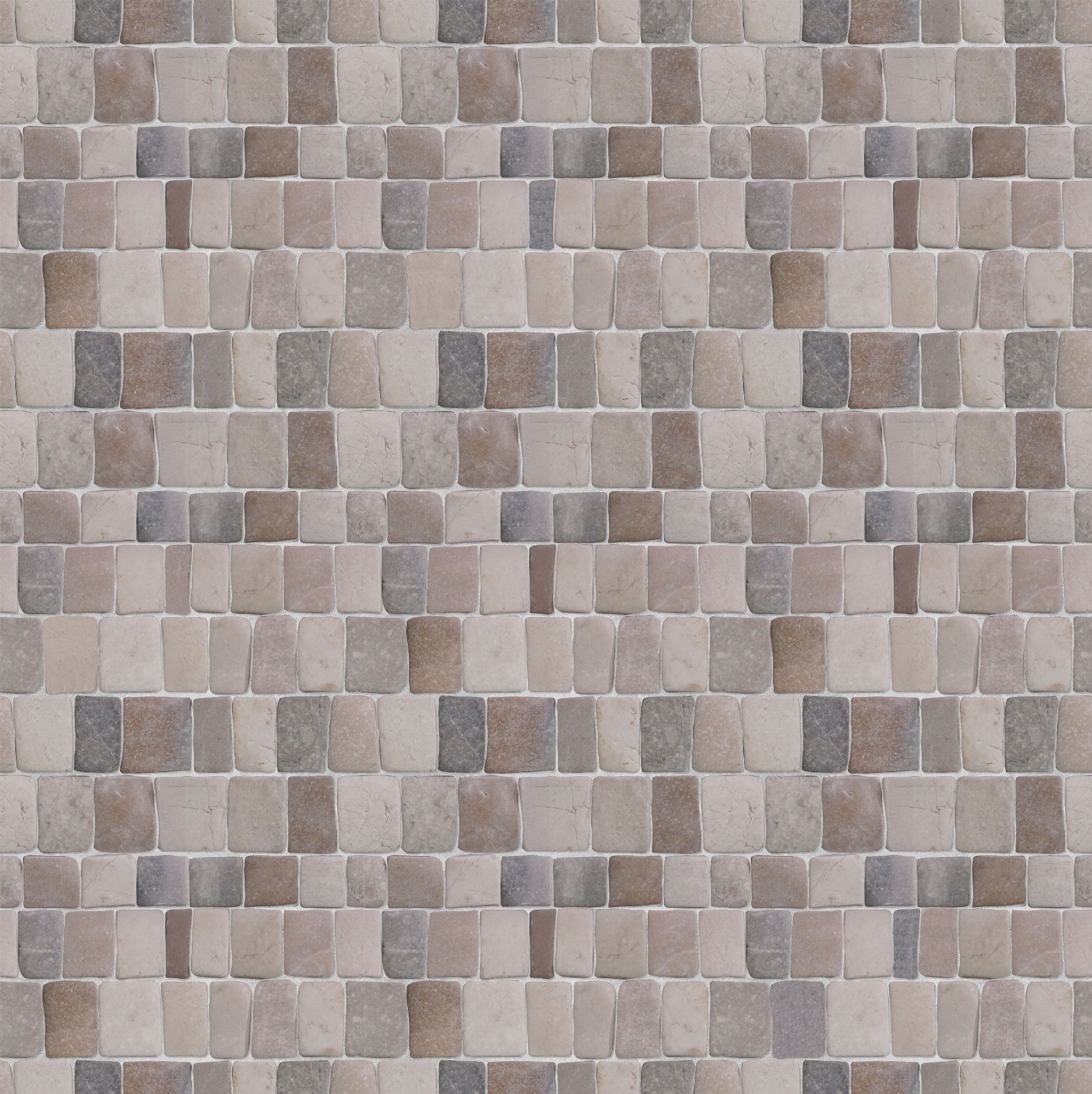Canine Mix Blend Pebble Mosaic Tile for Wall | 5 Tiles per case