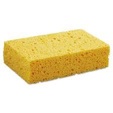yellow sponge