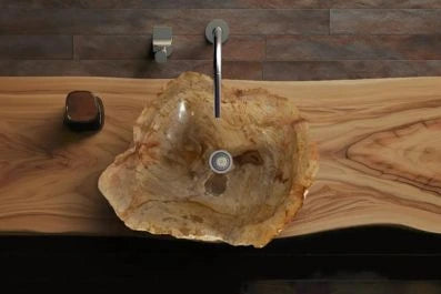 petrified wood basin