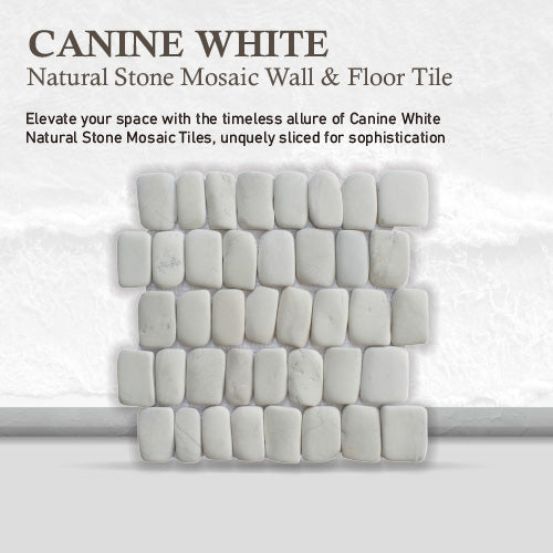 Natural White Stone Mosaic Tile for Wall, Canine White Mosaic Tile