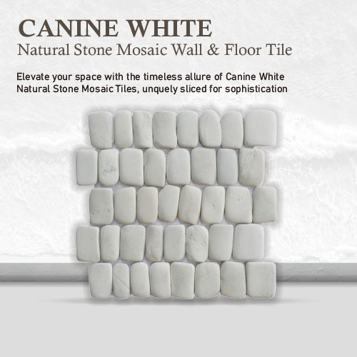 Canine White Pebble Mosaic Tile for Wall | 5 Tiles per case