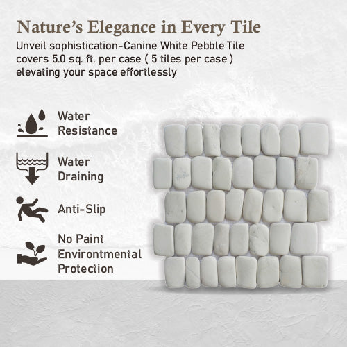 Canine White Pebble Mosaic Tile for Wall | 5 Tiles per case