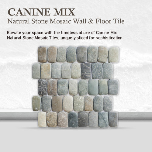 Canine Mix Pebble Mosaic Tile for Wall | 5 Tiles per case