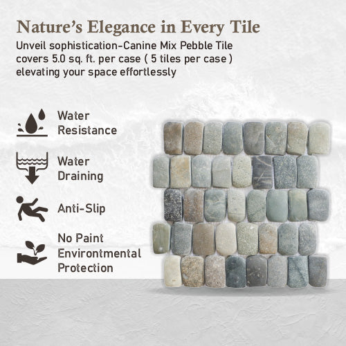 Natural Pebble Stone Mosaic Tile, Canine Mix Mosaic Tile