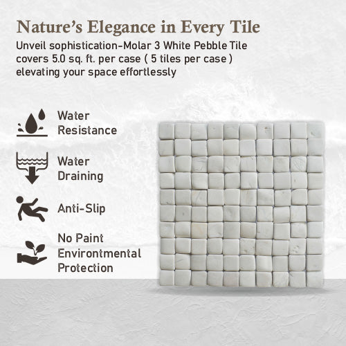 Natural White Stone Mosaic Tile, Molar 3 White Mosaic Tile