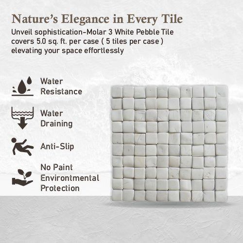 Molar 3 White Pebble Mosaic Tile for Wall | 5 Tiles per case