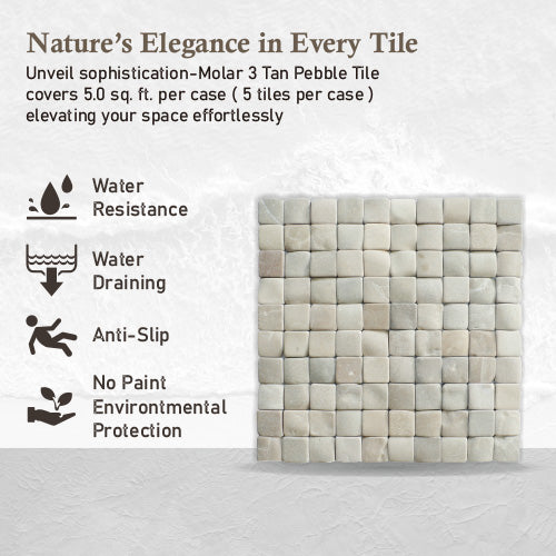 Molar 3 Tan Pebble Mosaic Tile for Wall | 5 Tiles per case