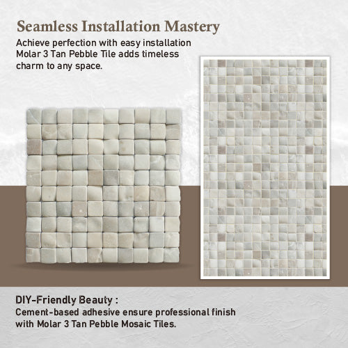 Molar 3 Tan Pebble Mosaic Tile for Wall | 5 Tiles per case