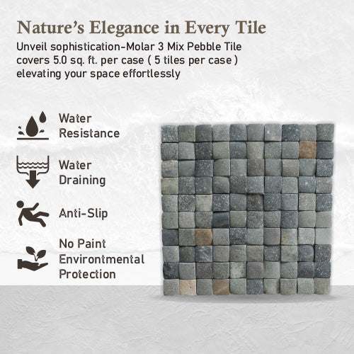 Molar 3 Mixed Pebble Mosaic Tile for Wall | 5 Tiles per case