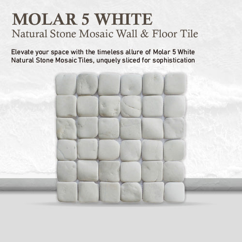 White Natural Stone Mosaic Tile, Molar 5 White Mosaic Tile