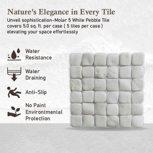 White Natural Stone Mosaic Tile, Molar 5 White Mosaic Tile