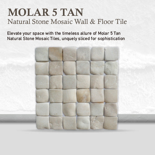 Molar 5 Tan Pebble Mosaic Tile for Wall | 5 Tiles per case