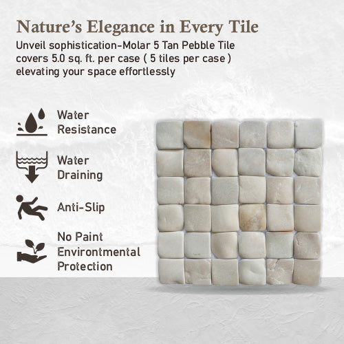 Molar 5 Tan Pebble Mosaic Tile for Wall | 5 Tiles per case