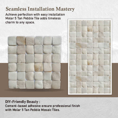Tan Stone Mosaic Tile for Wall, Molar 5 Natural Stone Floor Tile