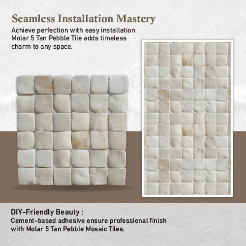 Molar 5 Tan Pebble Mosaic Tile for Wall | 5 Tiles per case