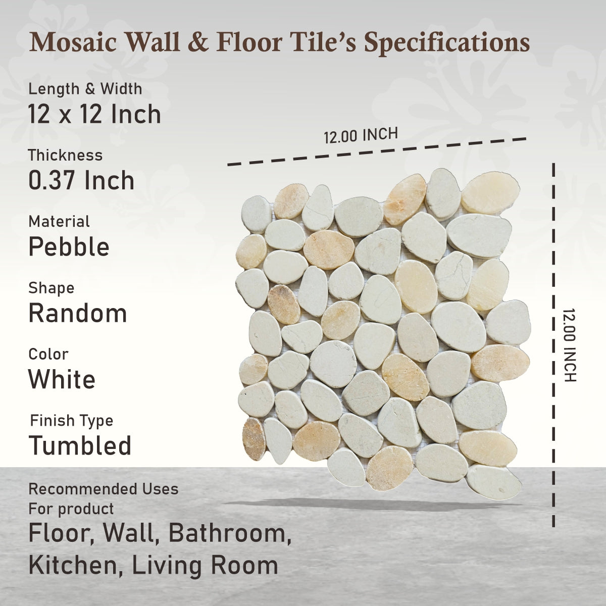 Oyster Sliced Pebble Mosaic Wall & Floor Tile | 5 Tiles per case