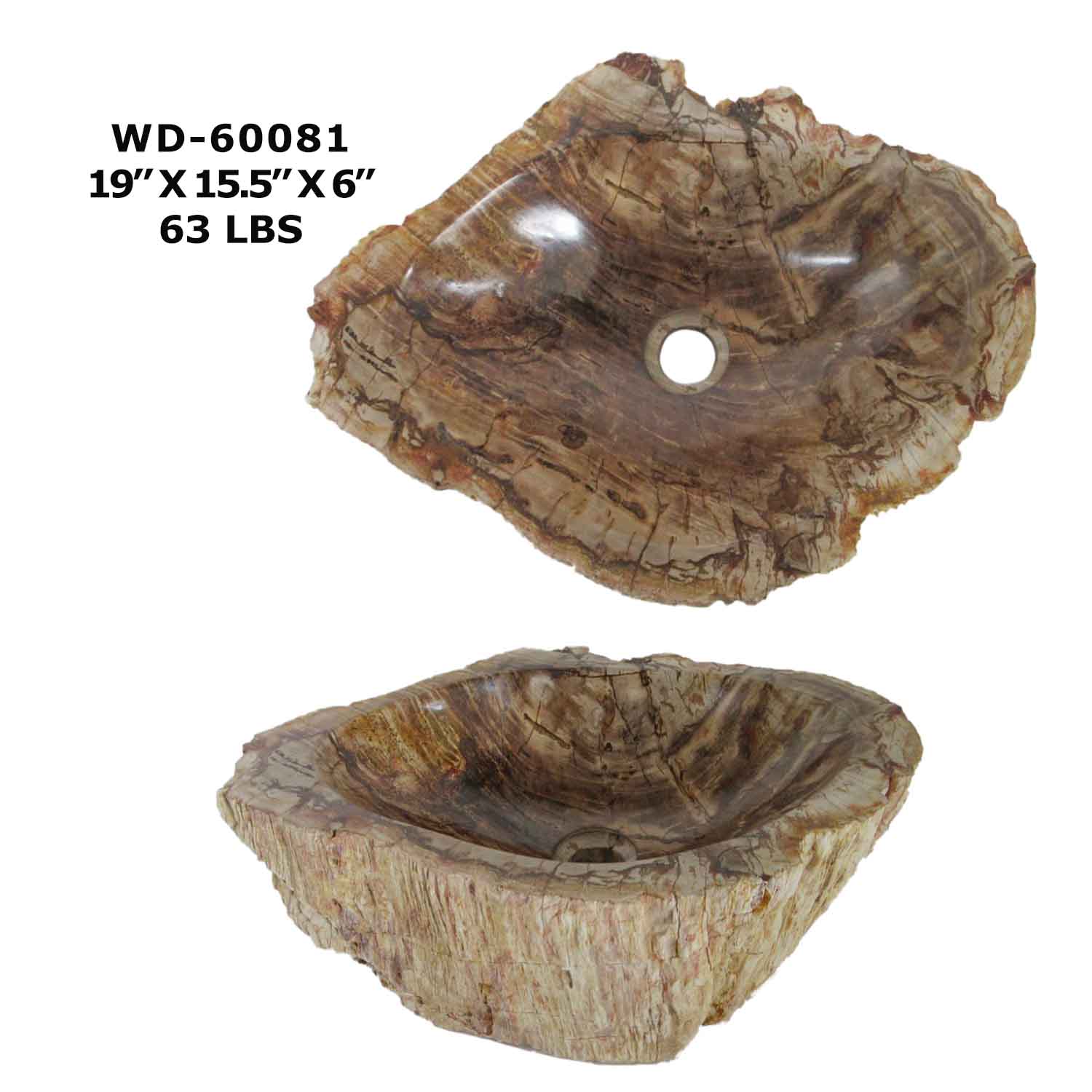 Natural Petrified Wood Sink, Fossil Stone Vessel Sink - WD 60081