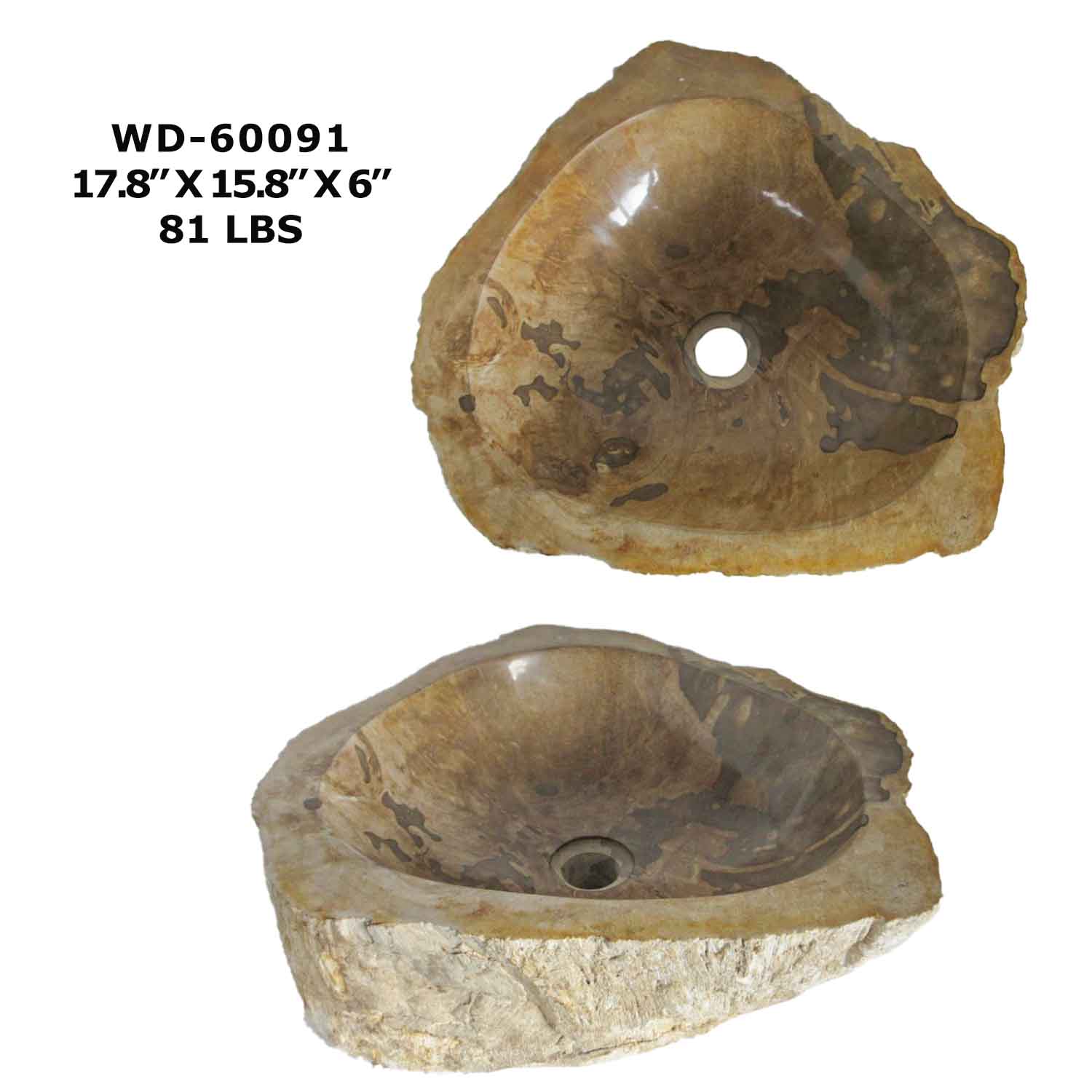 Natural Petrified Wood Sink, Fossil Stone Vessel Sink - WD 60091